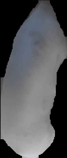 Crop