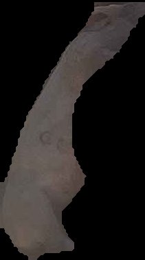 Crop