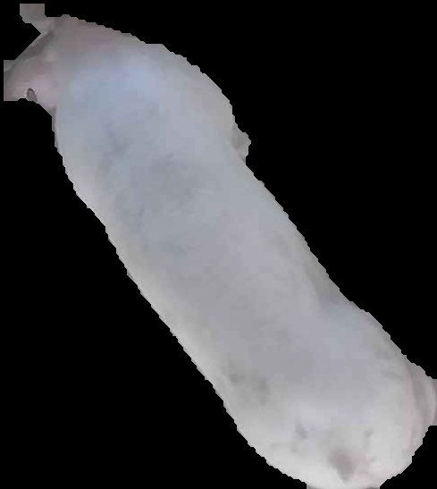 Crop