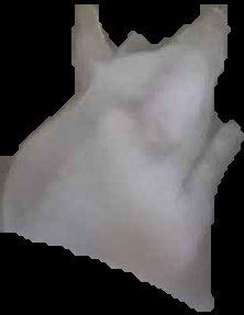 Crop