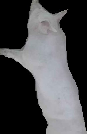 Crop