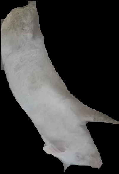Crop
