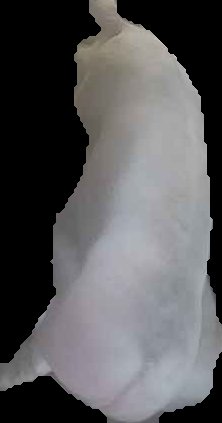 Crop