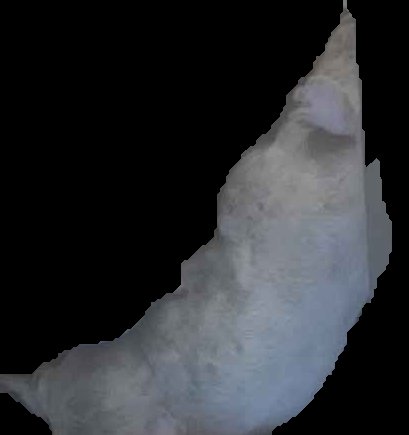 Crop