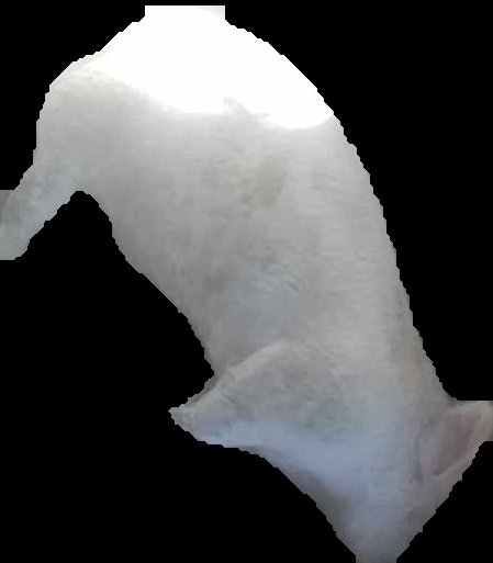 Crop