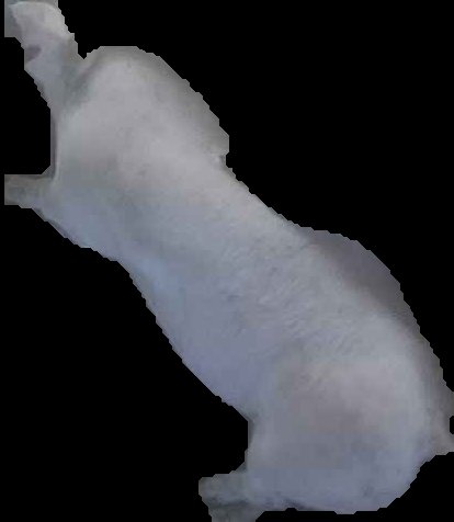 Crop
