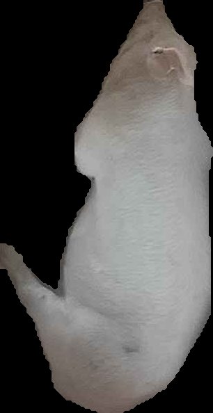 Crop