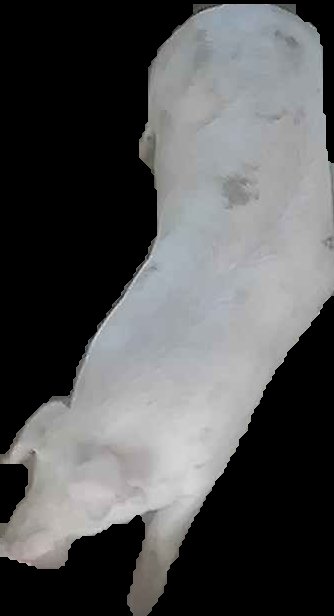 Crop