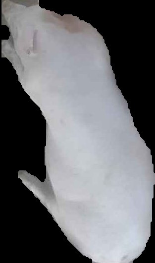 Crop