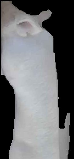 Crop