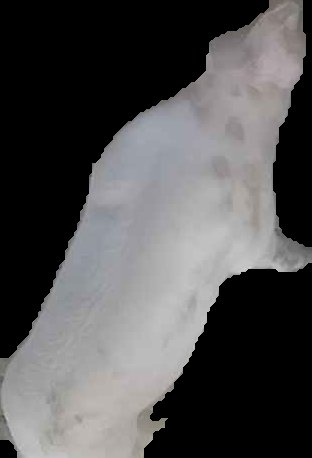 Crop