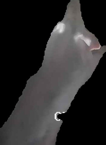 Crop