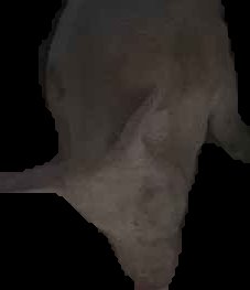 Crop