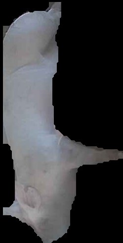 Crop