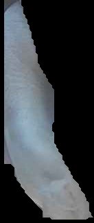 Crop