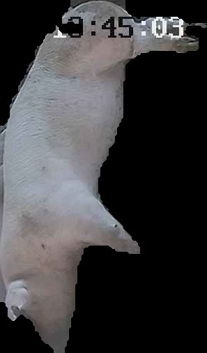 Crop