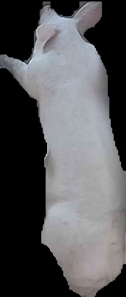 Crop