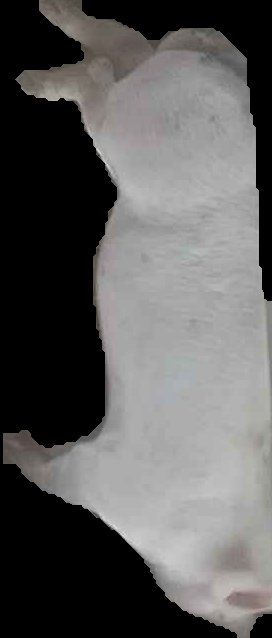Crop