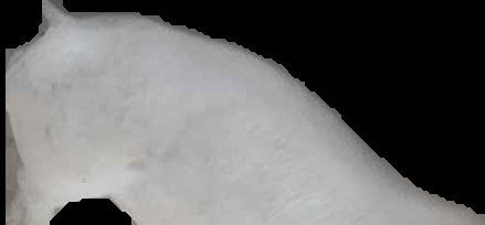 Crop