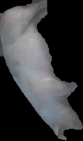 Crop