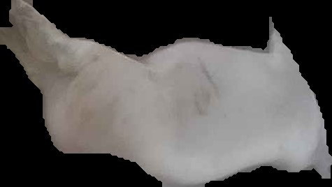 Crop