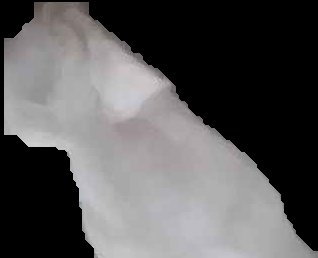 Crop