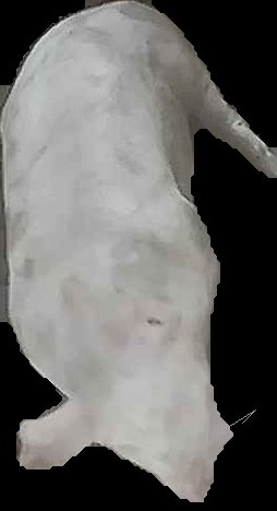 Crop