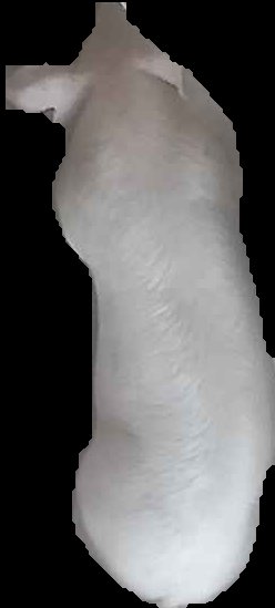 Crop
