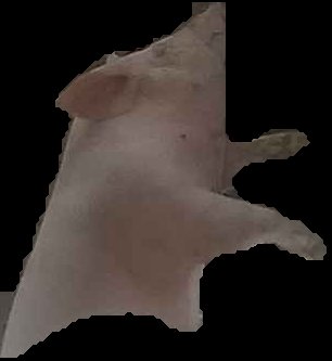 Crop