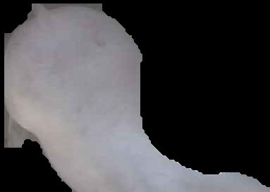 Crop