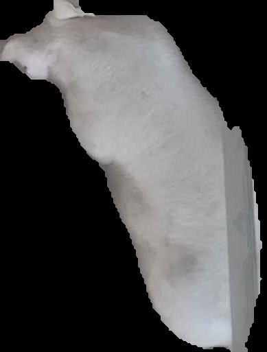 Crop