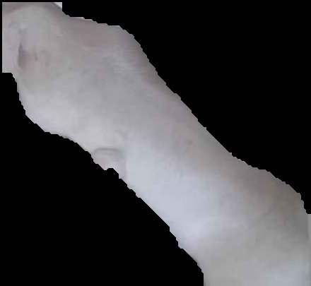 Crop