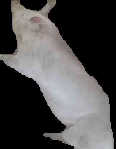 Crop