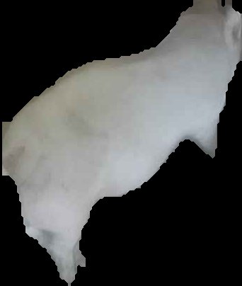 Crop