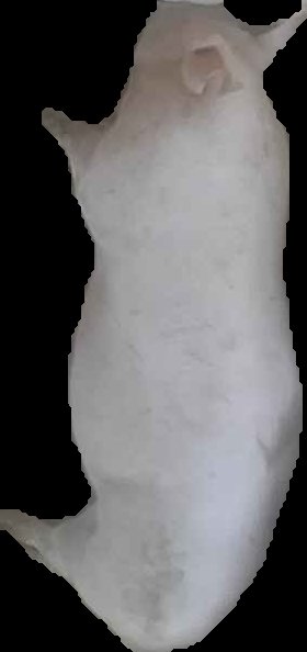 Crop