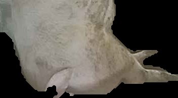 Crop