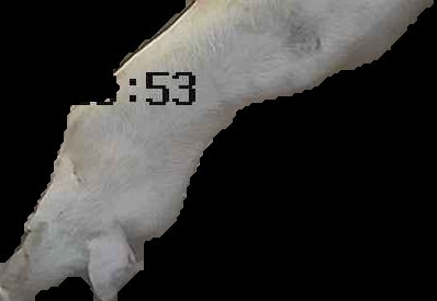 Crop