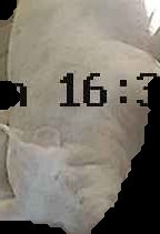 Crop
