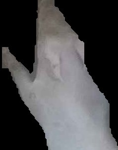 Crop
