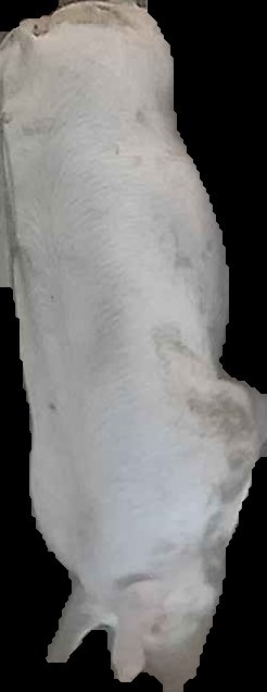Crop
