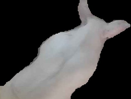 Crop
