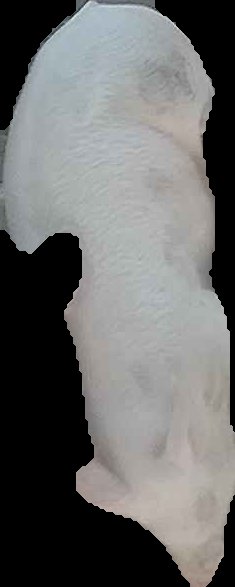 Crop