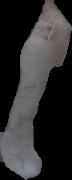 Crop