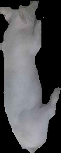 Crop