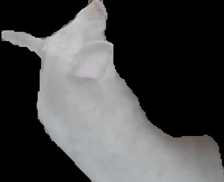 Crop