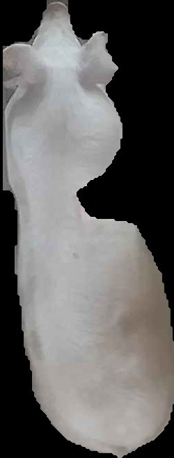 Crop