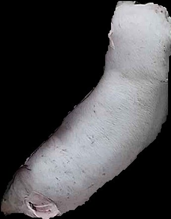 Crop