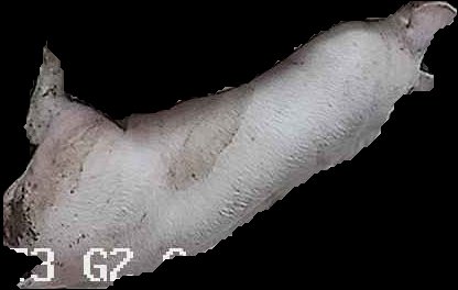 Crop