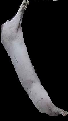 Crop