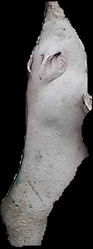 Crop